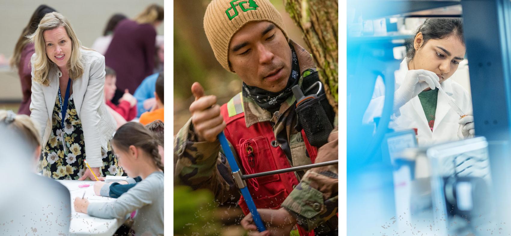 Three photos showing of a career path, including teaching, forestry and research