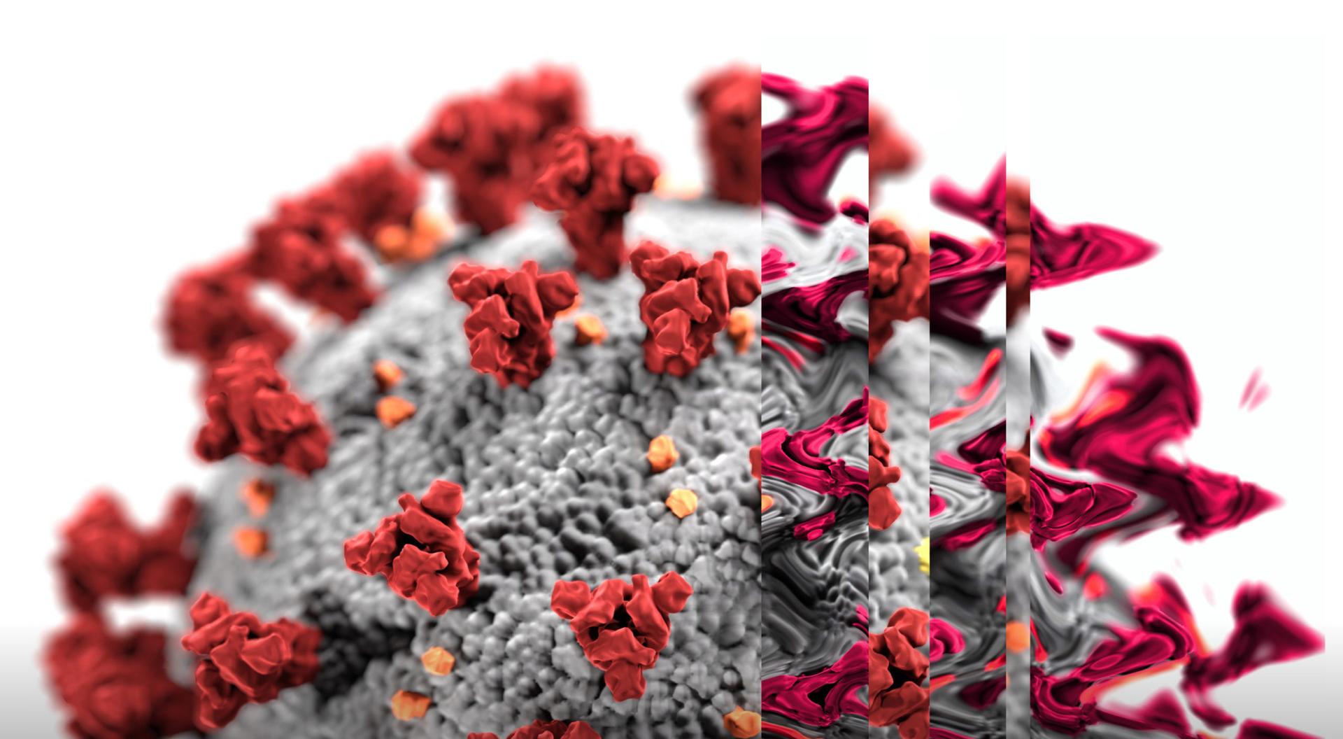 An illustration showing COVID-19 mutations and variants
