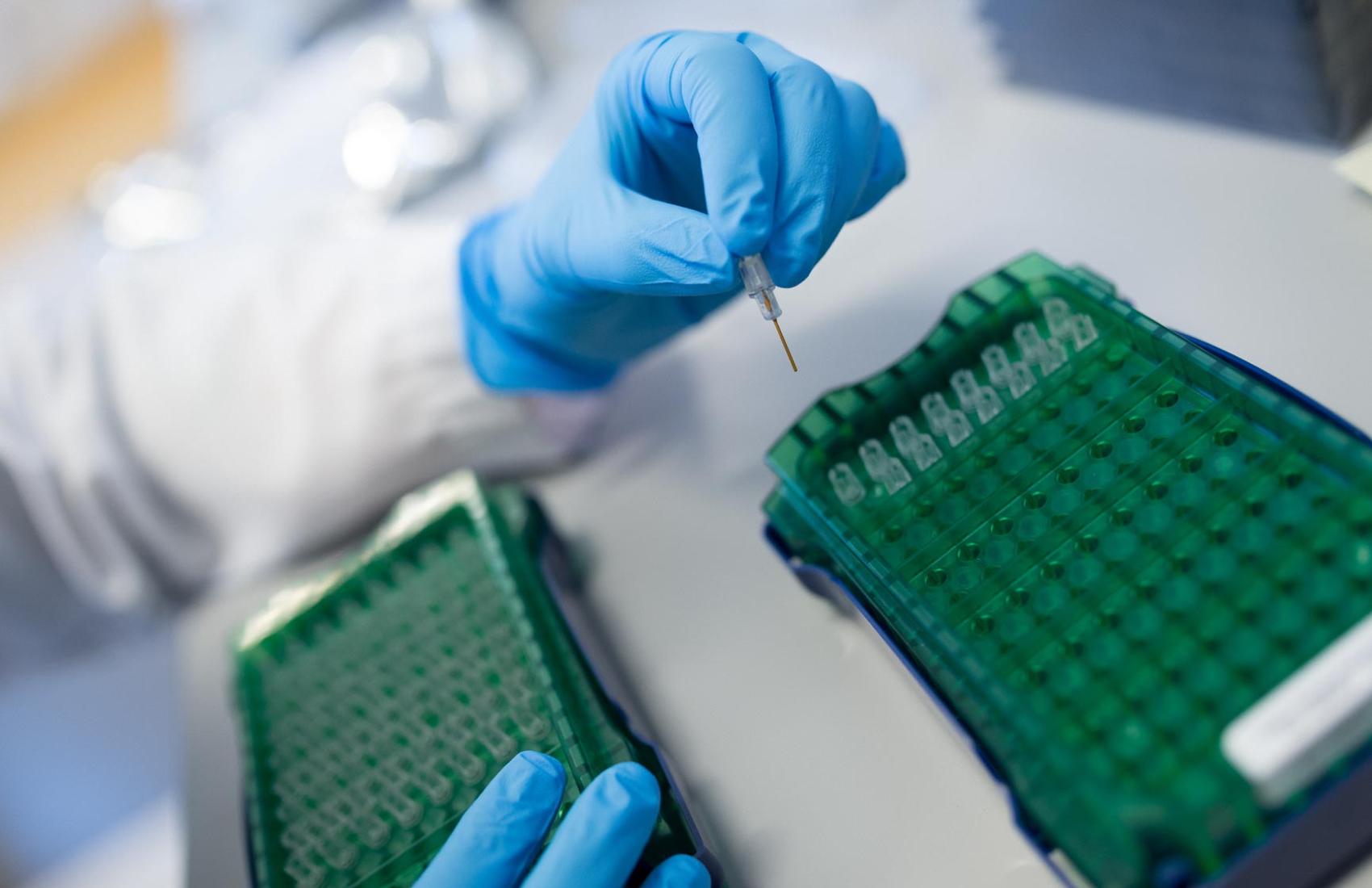 Close up of a lab workers hands while they conduct research