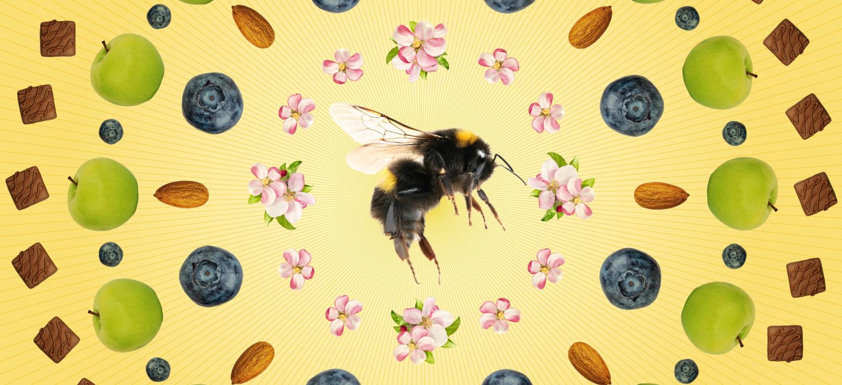 An illustration showing how insect biodiversity affects the foods we eat