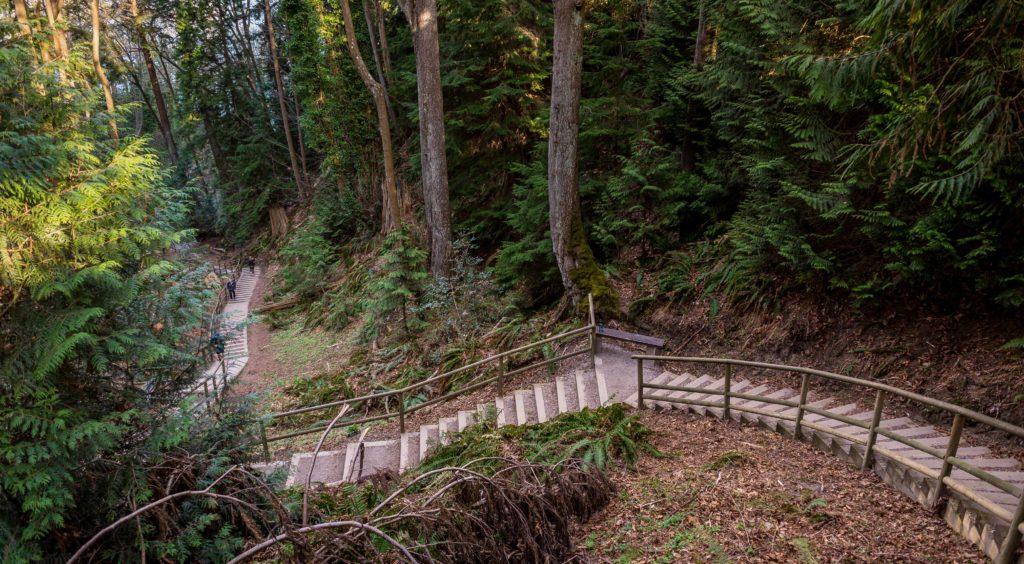 A trail between large trees in Pacific Spirt Park, an urban forest in Vancouver