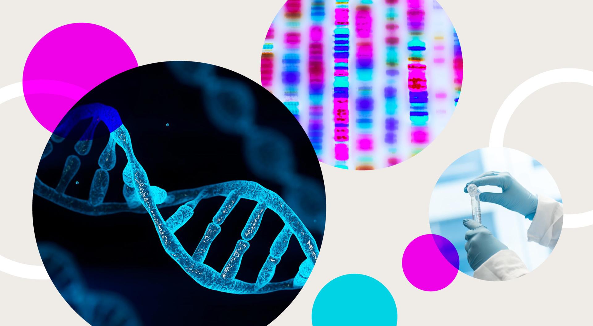 A collage showing a scientific illustration of DNA, the results of genome sequencing and a person working in a genomics lab