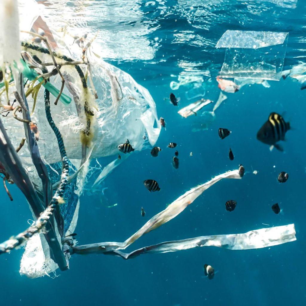 plastic waste floating in the ocean with fish swimming past