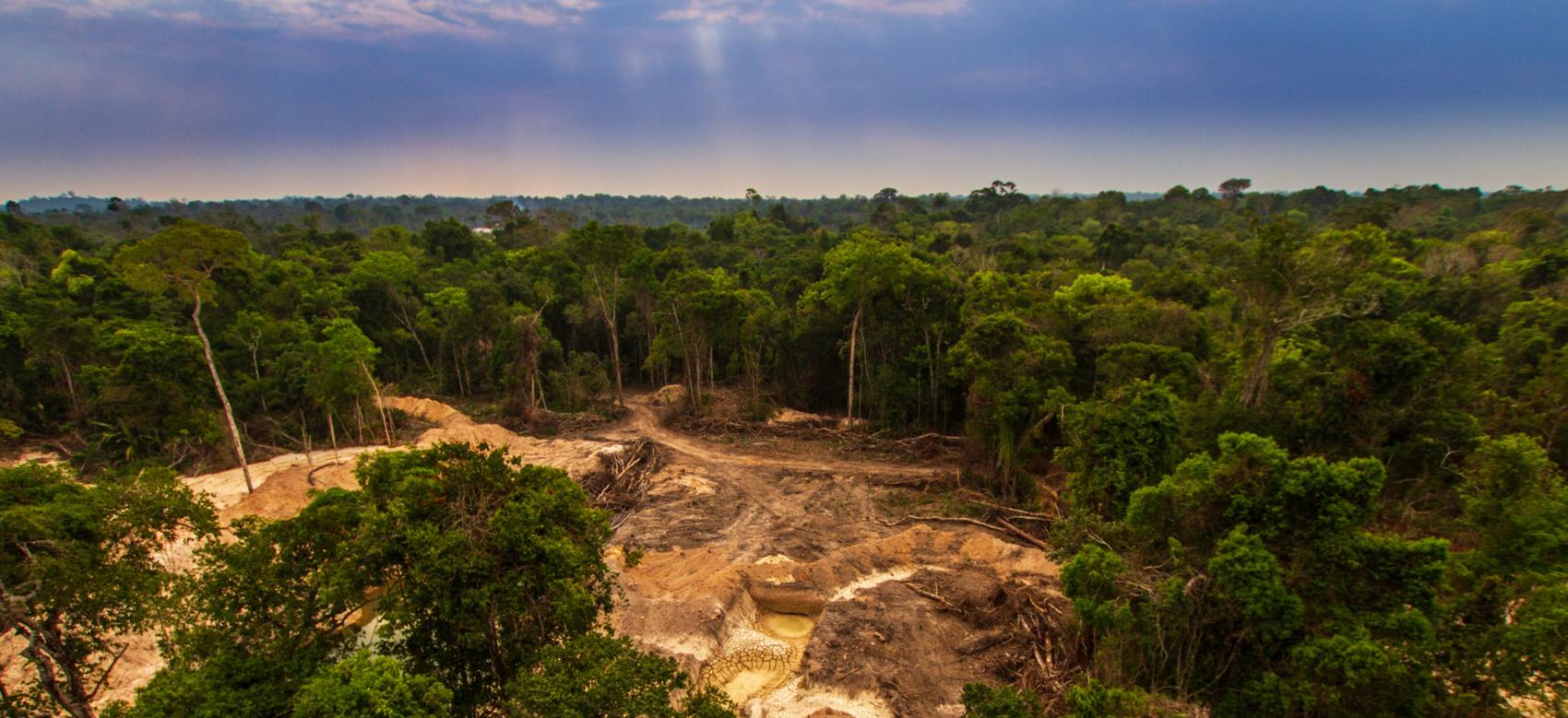 Aerial shot of Amazon deforestation
