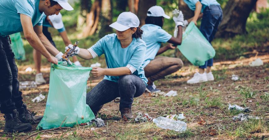 A crew of people picking up plastic trash and bagging it.