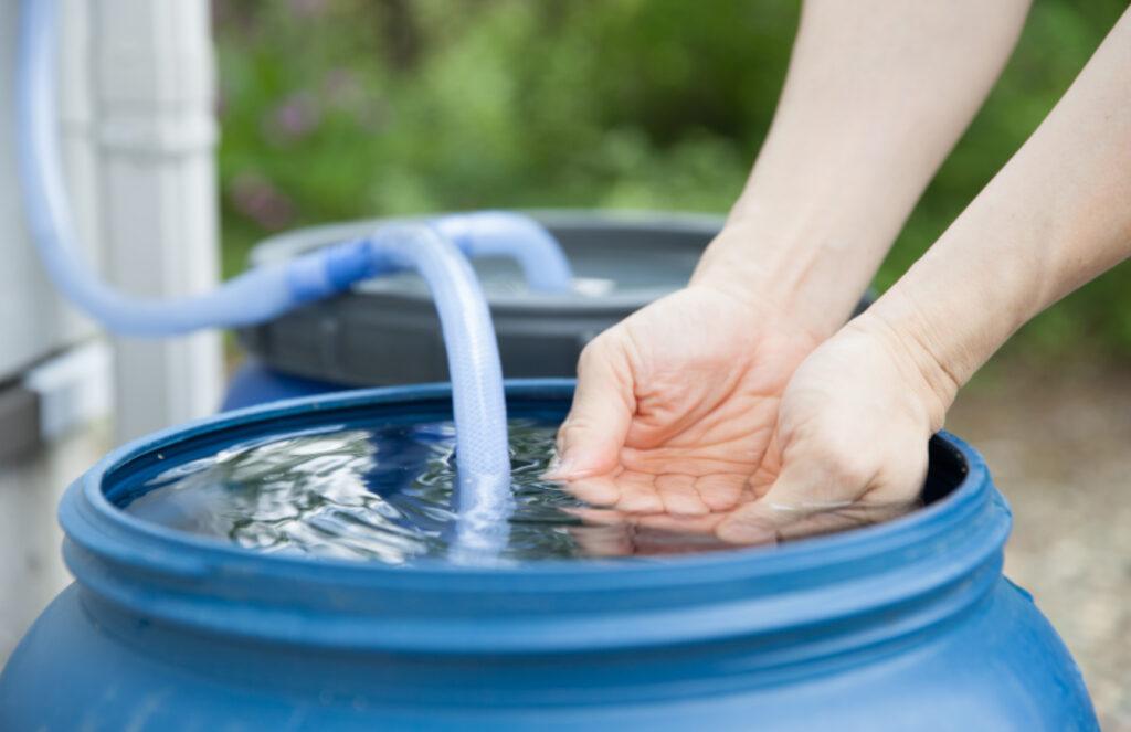 A barrel filled with rainwater captured in a garden.