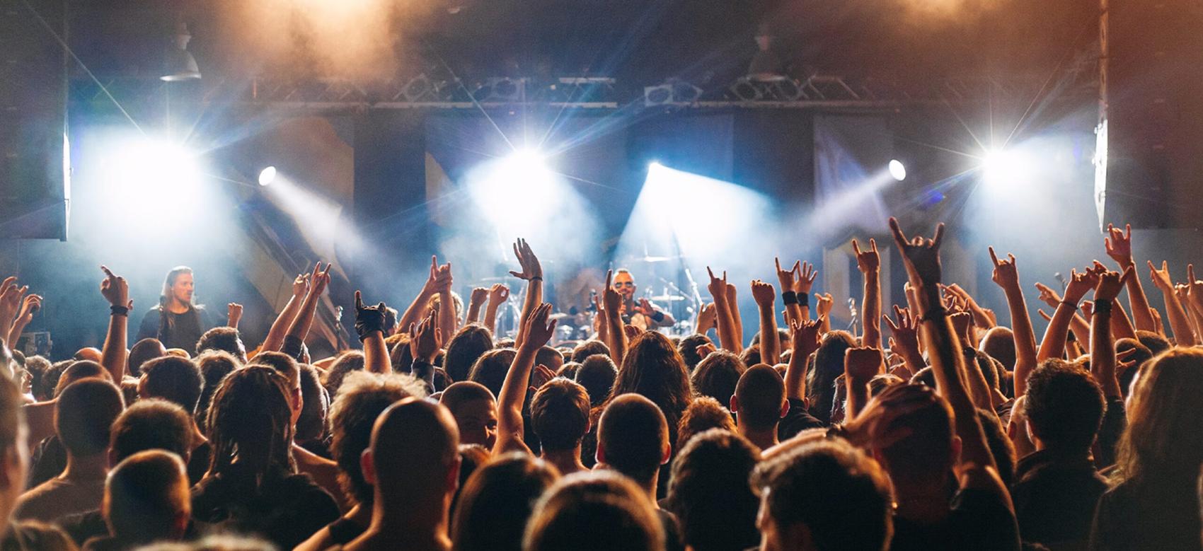 Cheering crowd at a rock concert