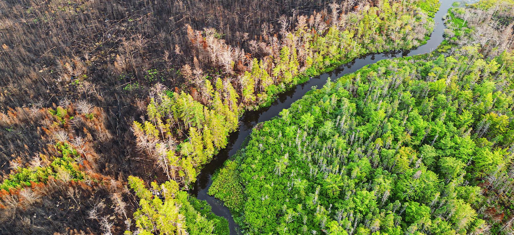 Aerial view a wetland stillwater surrounded by wildfire damage.