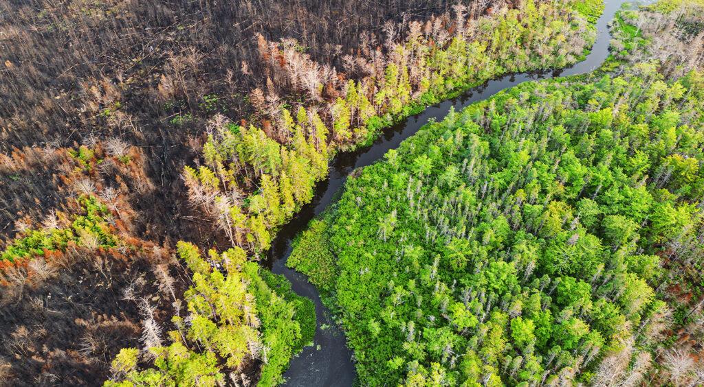 Aerial view a wetland stillwater surrounded by wildfire damage.