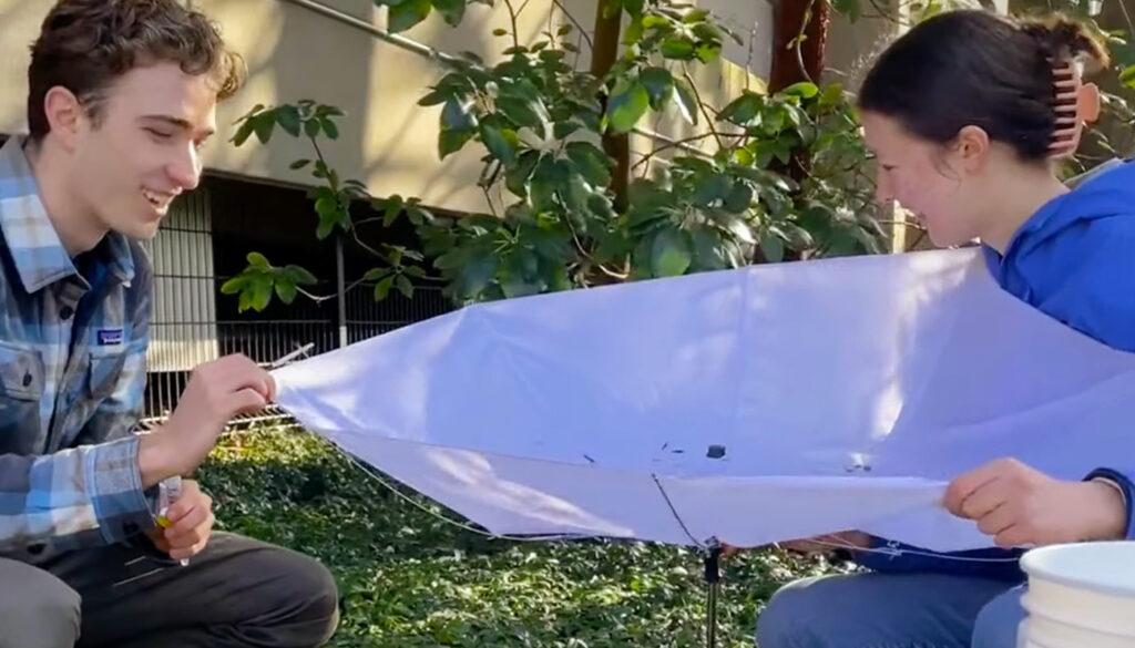 Two students are engaged in fieldwork, collecting samples of insects and microbes for ecological analysis.